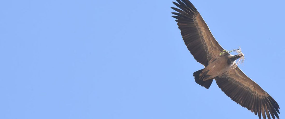 Banner2